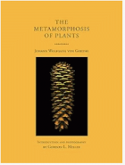 The metamorphosis of plants