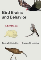 Bird brains and behavior